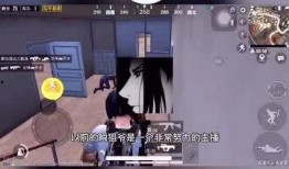 爆料无良卖货主播视频,视频爆料揭露惊人内幕