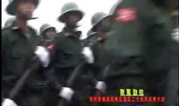 特区爱奴在线观看酷,在线观看，揭秘都市情感纠葛