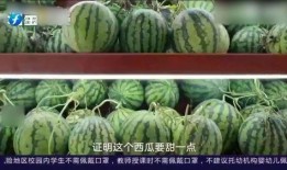 在线吃瓜作品免费观看,揭秘热门在线吃瓜作品！